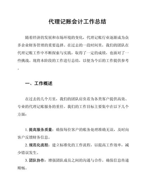 代理记账会计工作总结